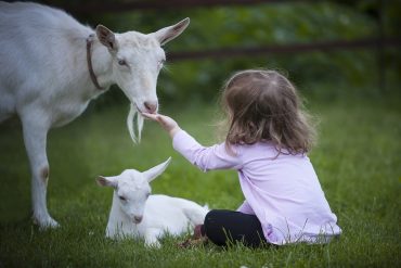 Metodo Steiner: l’importanza della natura per il bambino